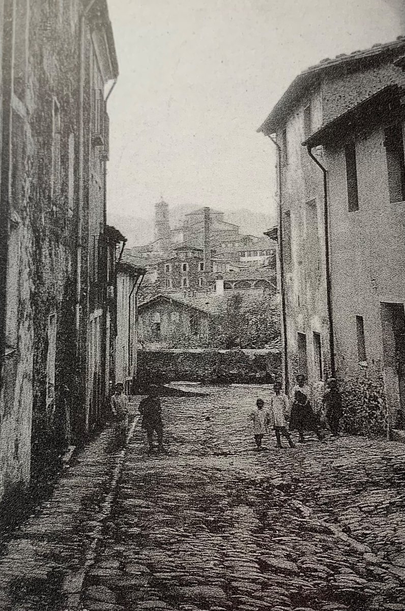 Xilicu Olot 🎗🌋 tweet media