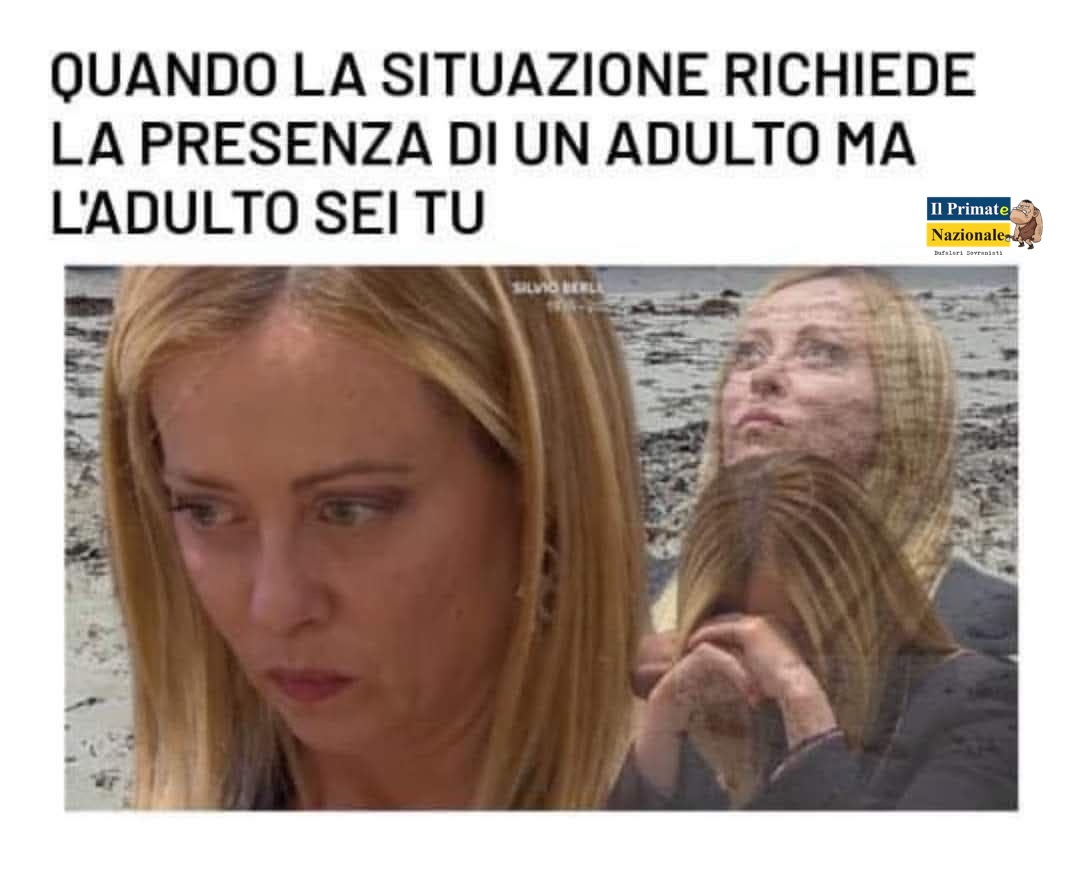 Il Primate Nazionale tweet media