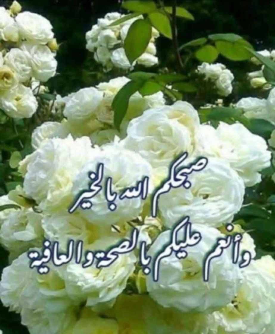 Antsar ALjumaili (@aljumailiantsar) on Twitter photo 