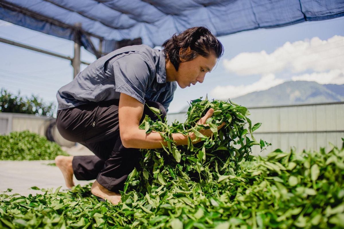 Teemeister Shiwei verkostet zehn Formosa Oolong-Tees – von Pinglin bis Lishan. Spannende Einblicke in Taiwans Teekunst. Jetzt Video ansehen!
🎥 Hier geht’s zum Video → bit.ly/3WlhJo7

#Oolong #Taiwan #Formosa #teatasting #teaaddict