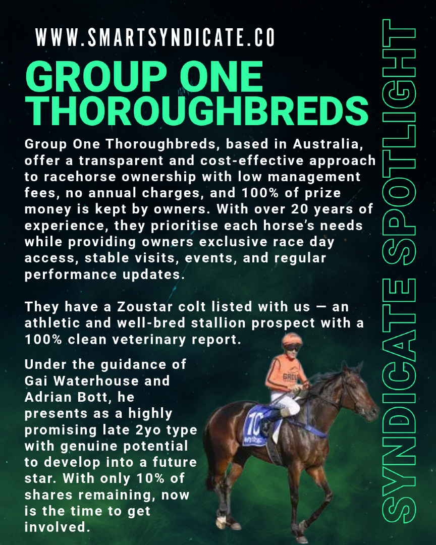SmartSyndicate_'s tweet image. 🔦 Syndicate Spotlight
Group One Thoroughbreds bring a fresh, owner-first approach with low fees and 100% of prize money is yours. Their latest star? A striking Zoustar colt, athletic, clean on all vet checks, and ready to run. Only 10% of shares remain -don’t miss out! 🐎🔥