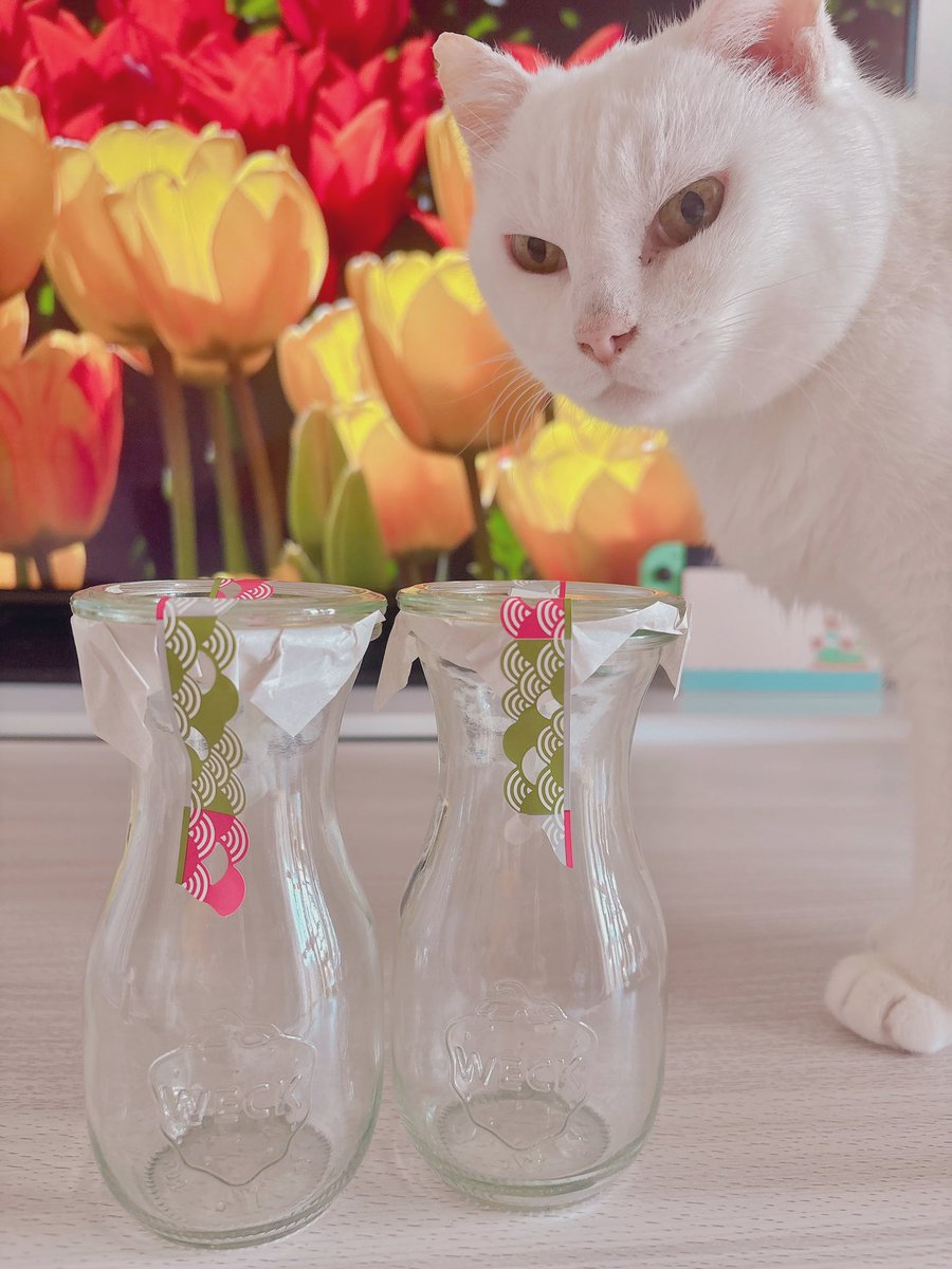 kuromii9638m's tweet image. また私のカフェごっこのための物が届いた♥️♥️ストロー穴付きの蓋も注文したから、これで美味しいアイスカフェラテを飲むのです🥤🍓

#WECK