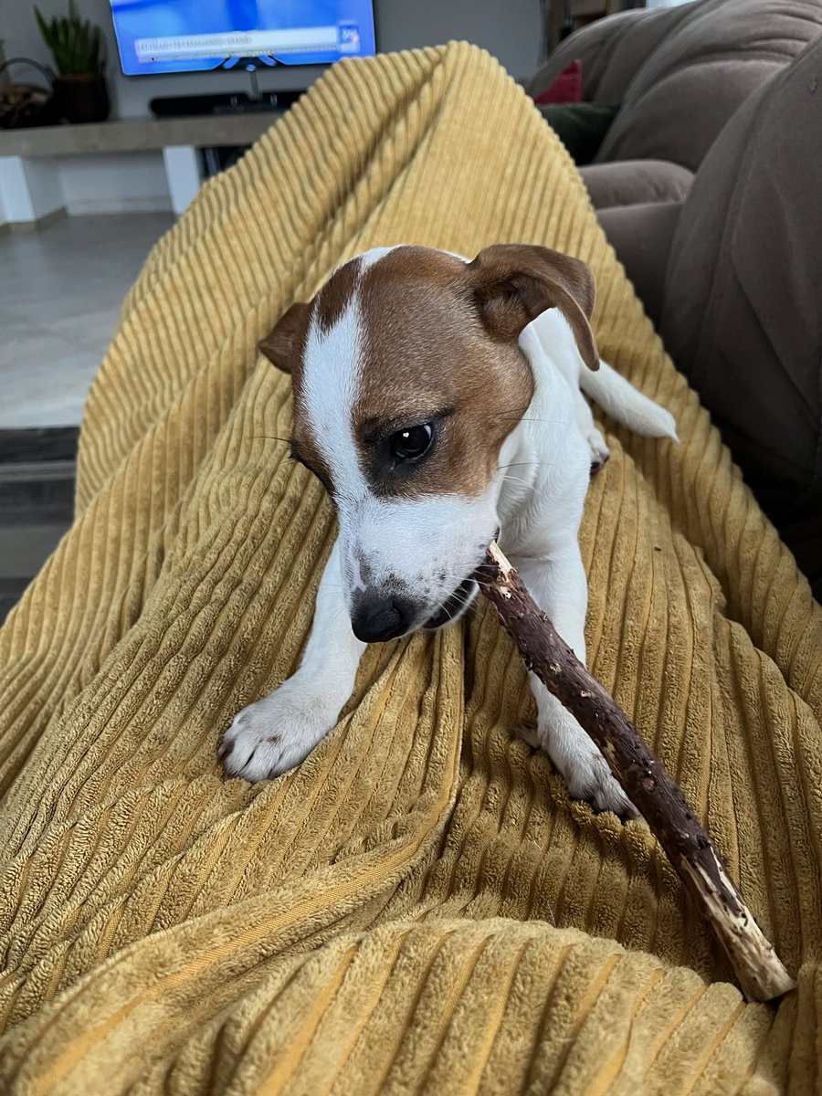 svētdienas ir Koras dienas