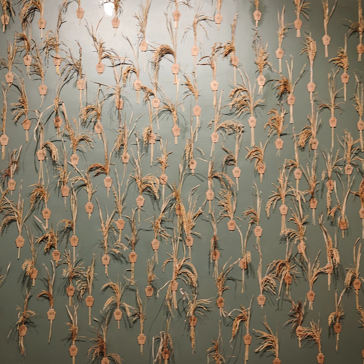 devikarjv's tweet photo. Visited @SciGalleryBlr for the first time today. Currently they have a year-long exhibit on food, as well as one on Bengaluru's water heritage. Very well curated and worth a visit, especially if you have kids. Helping kids get interested in science through art! ❤️ https://t.co/TtAuzrrzYF