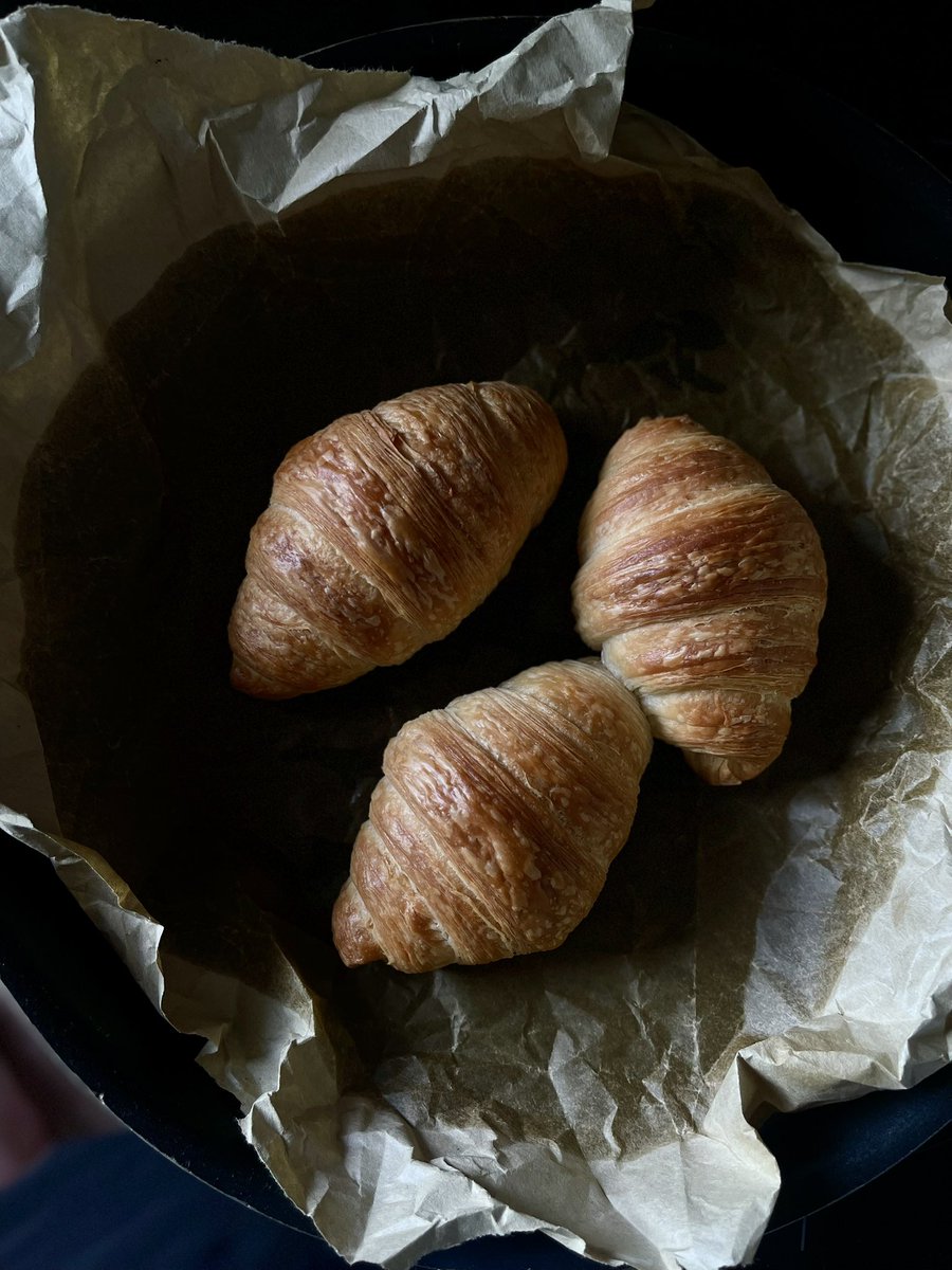 Unlegalgirl (@unlegalgirl) on Twitter photo 