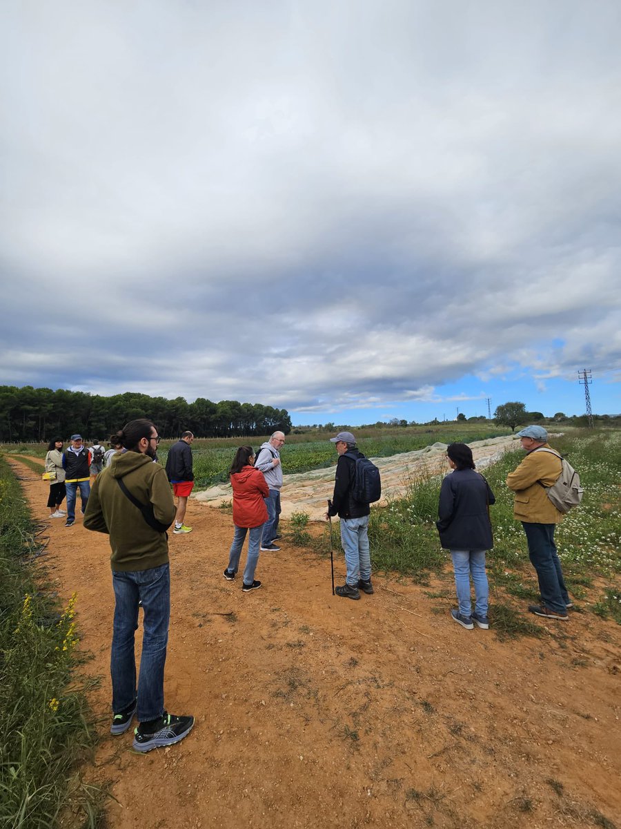 Benvinguts a Pagès (@benvingutspages) on Twitter photo 🤗 Comencem el diumenge amb una visita al Parc Agrari de Can Gambús, a Sabadell.
Celebrem #10AnysAPagès entre camps, horts i granges! 🧀🍇🧺
👉 Benvingutsapages.cat 
#pagesiacatalana #visitesapagès #BAP2025 🤗 Comencem el diumenge amb una visita al Parc Agrari de Can Gambús, a Sabadell.
Celebrem #10AnysAPagès entre camps, horts i granges! 🧀🍇🧺
👉 Benvingutsapages.cat 
#pagesiacatalana #visitesapagès #BAP2025