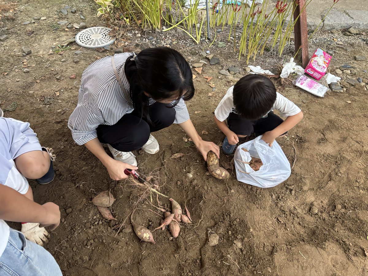 kRNwBe5AFsAFMBi's tweet photo. 今日は組内の子どもさんと芋掘りでした。

ほうさくほうさく

三河の土は芋がよくできるようです！ https://t.co/1AZCCnnK3y