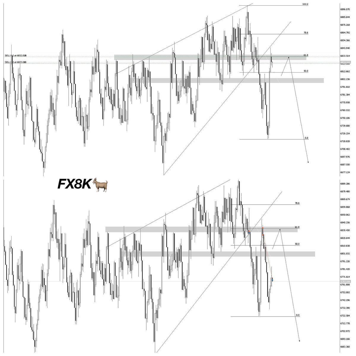 Fx8thousands34's tweet photo. Boom600 Index Caught Nicely 
Setup Proper ✅
Pure Price Action Concepts ‼️🧠
#deriv #Weltrade https://t.co/Tf5C1IGKcy