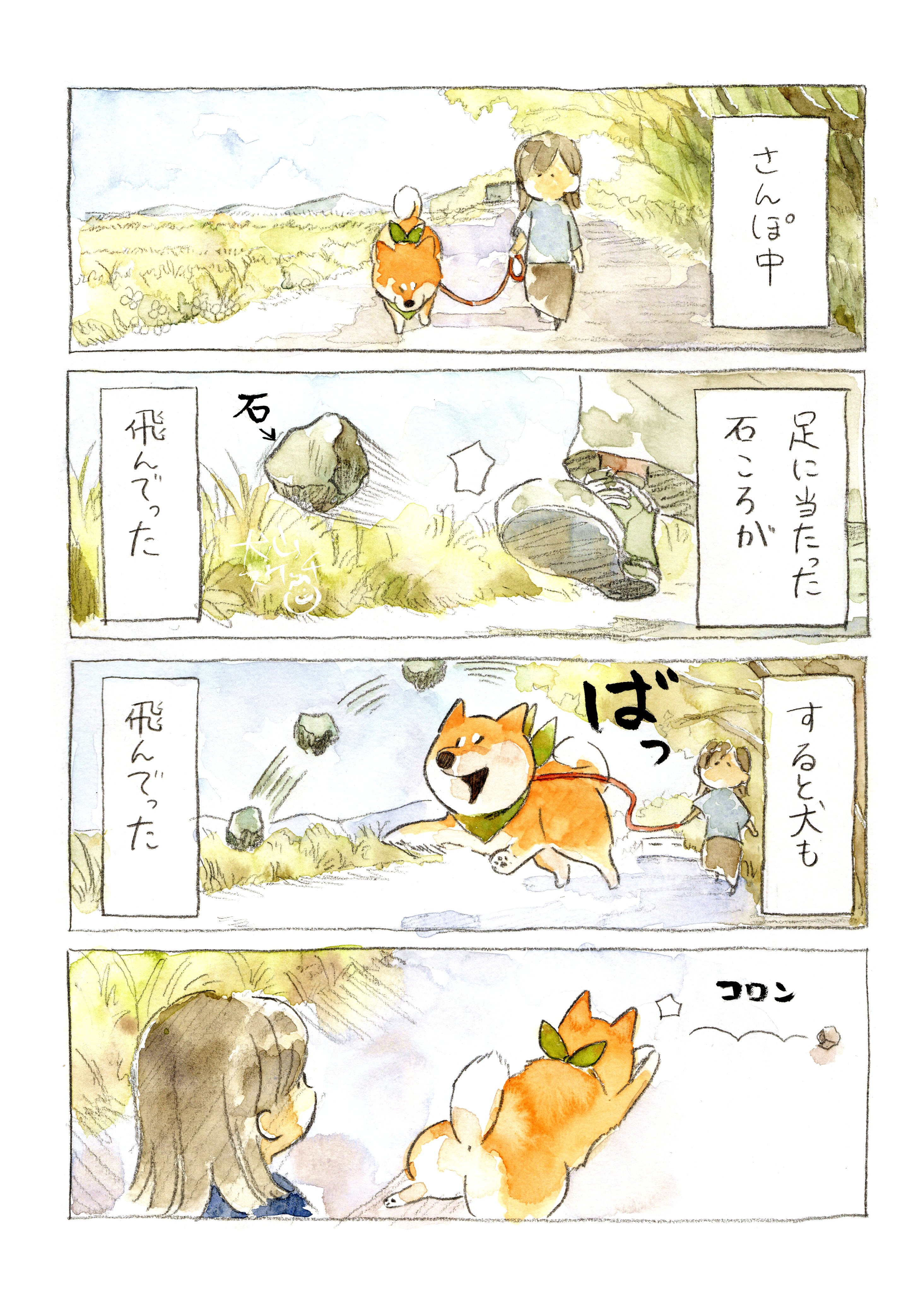桜餅りんり🌸星願通販 (@sakura_tousani) / X