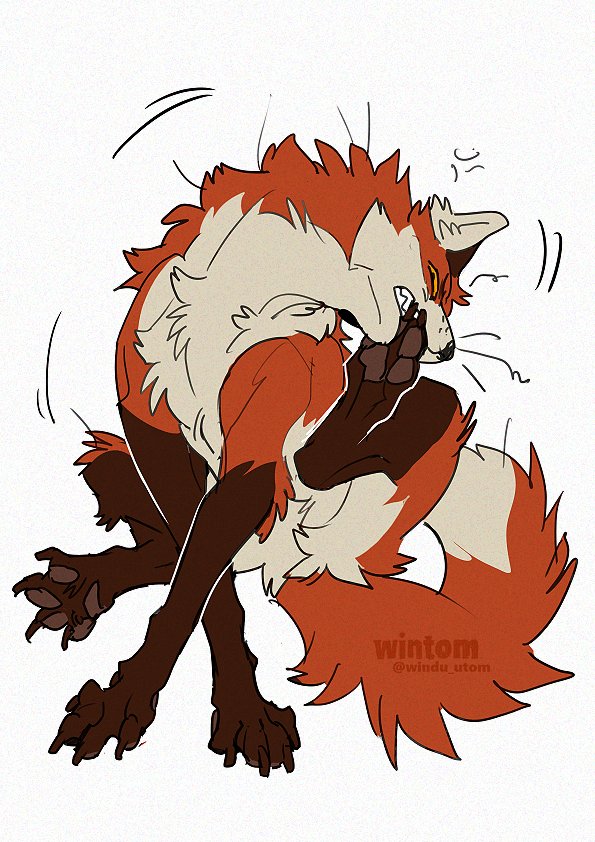 windu_utom's tweet image. #天狐の日だしTLを狐で埋める 🦊