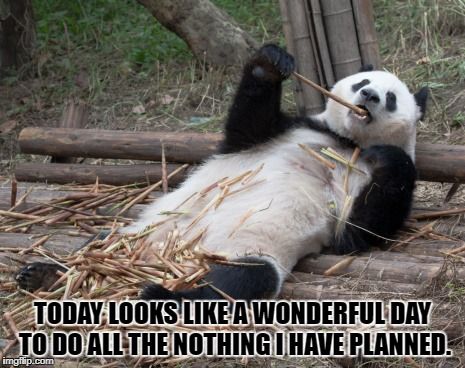 Binance Intern tweet media