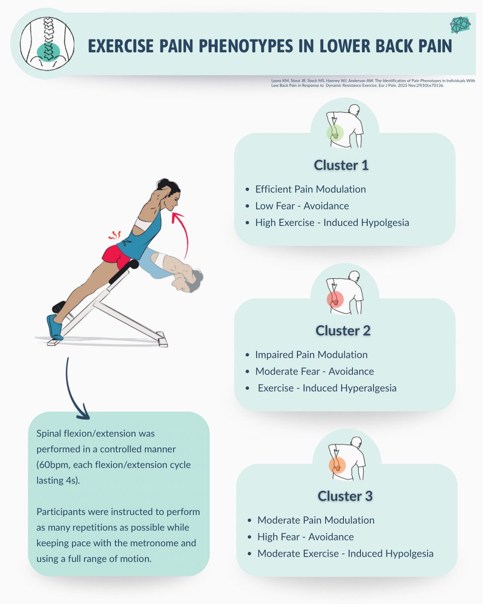 PhysioMeScience's tweet image. The Identification of Pain Phenotypes in Individuals With Low Back Pain in Response to Dynamic Resistance Exercise

pubmed.ncbi.nlm.nih.gov/41001699/