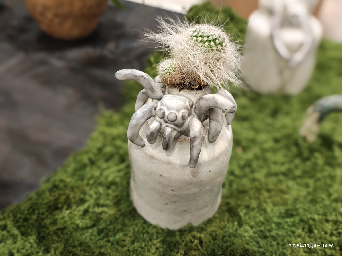 MsOctpassy's tweet photo. オンプラレポ(6/7)
冬虫夏草という、昆虫図鑑でみたら少しグロいモチーフを美しい世界観で仕上げてらっしゃる。白く経年化したオームの殻に腐海の植物が生えるよう…まるでナウシカ。
ハエトリグモの鉢、サボテンがとてもマッチしてて激カワ！
陶蟲夏草さん
https://t.co/Bh8Ybyc6iq
#オンプラ2025 https://t.co/qNoyUqiJhu