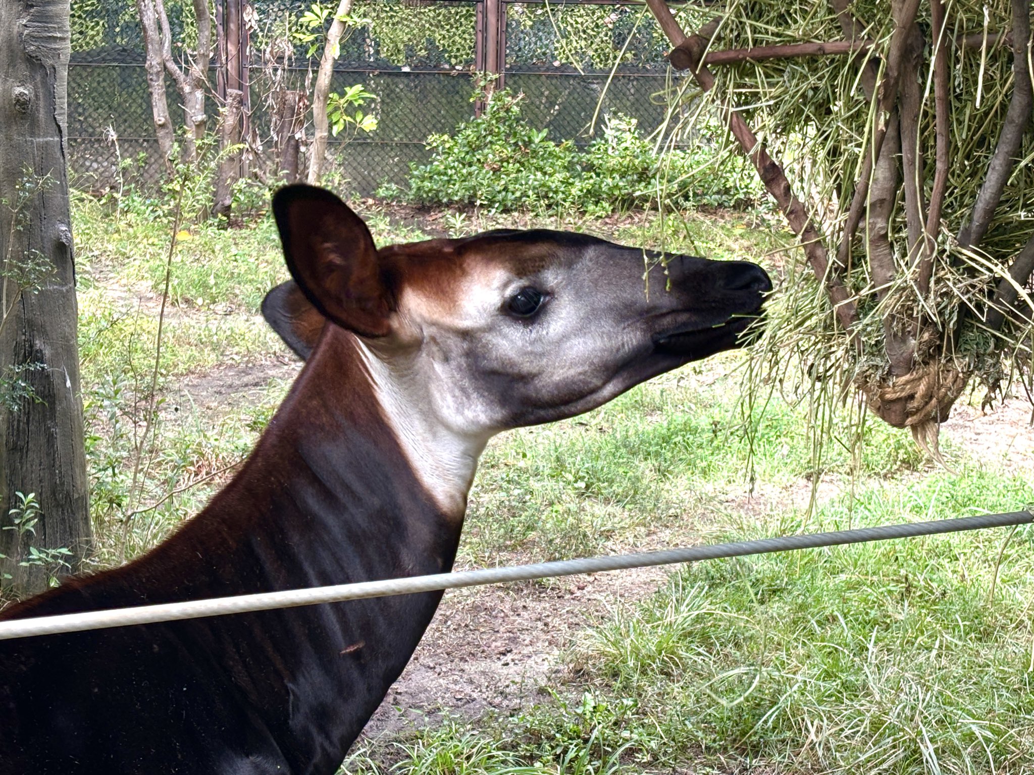 そら☪ページです♡ 空🌈sora (@ku1127) / X