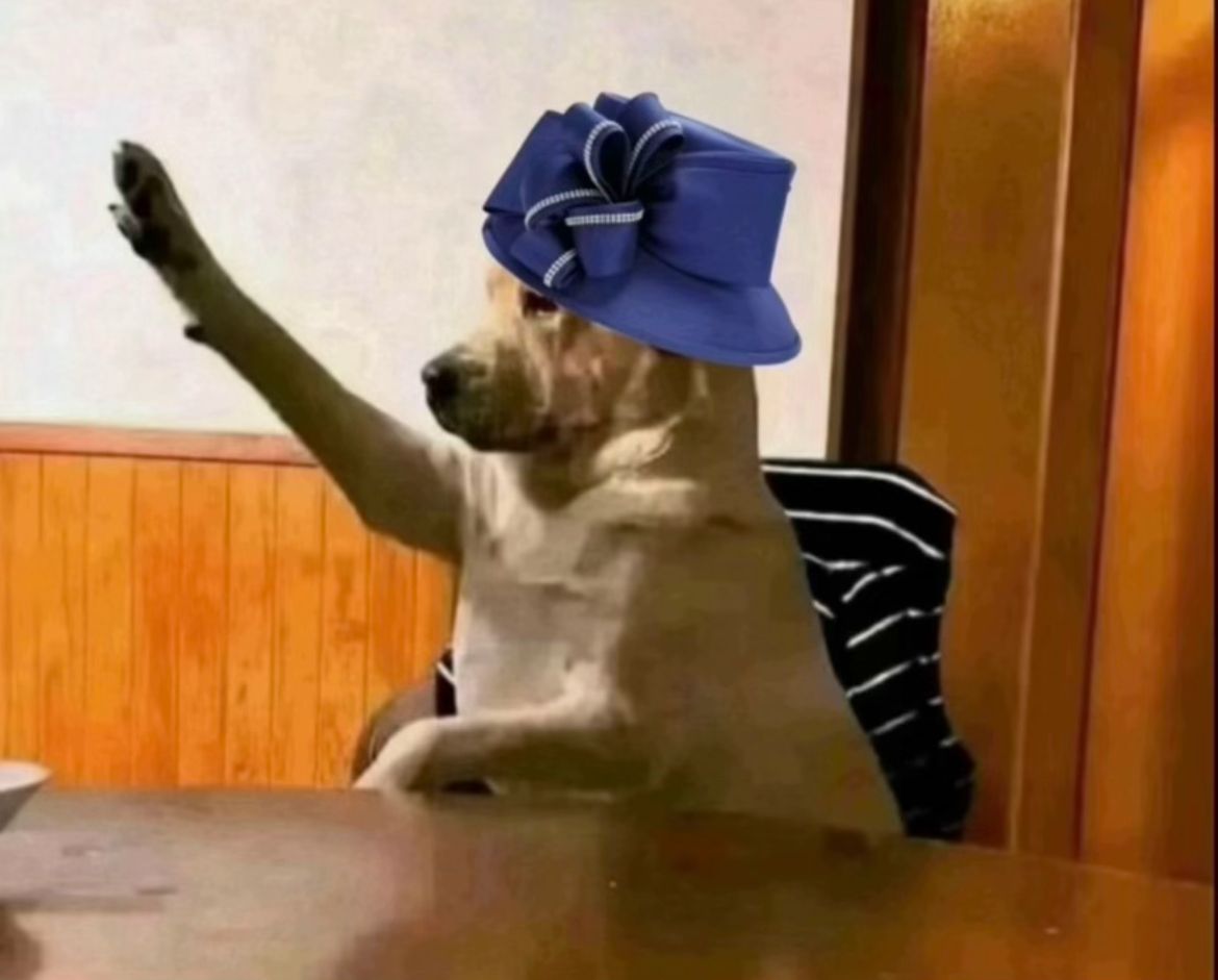 chaincrib's tweet image. Person:  I am looking to diversify my portfolio, and I don&apos;t have a lot of money.
Chaincrib: Say less