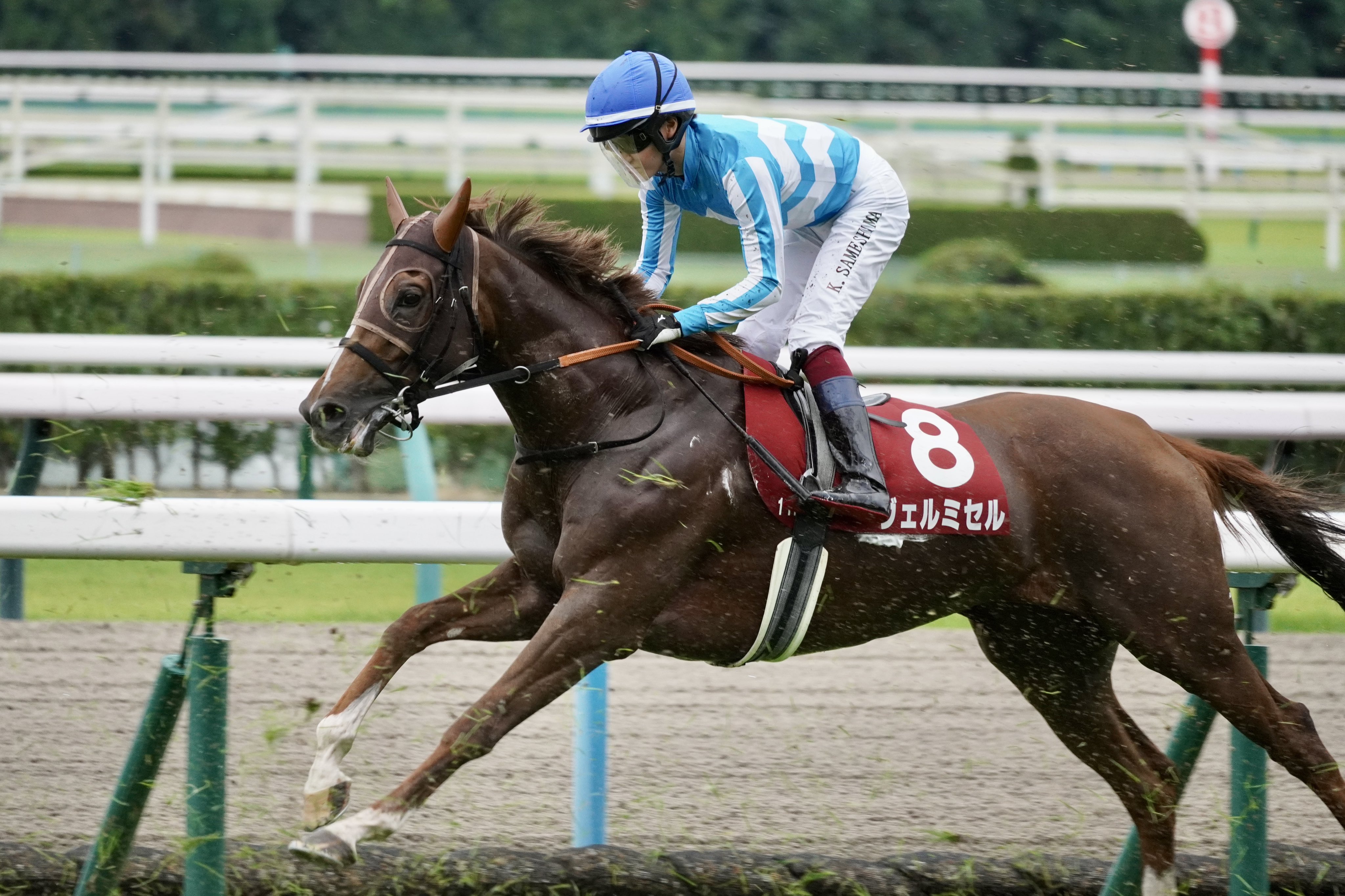 LSJ (@torres9neymar) / X