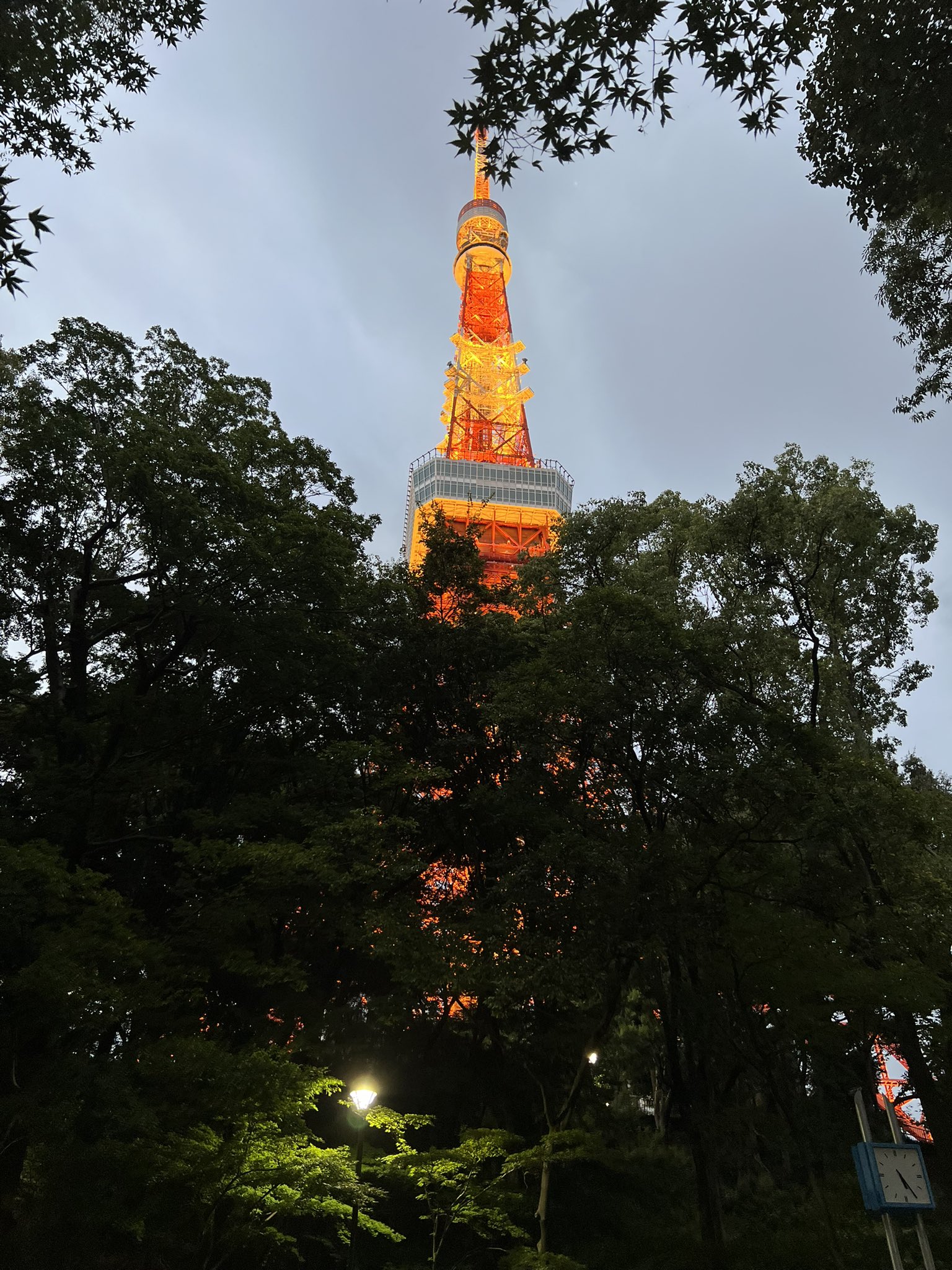 東京タワー様、確認用です。 東京タワースペシャルライトアップ点灯！ACG WORLDS共同主催