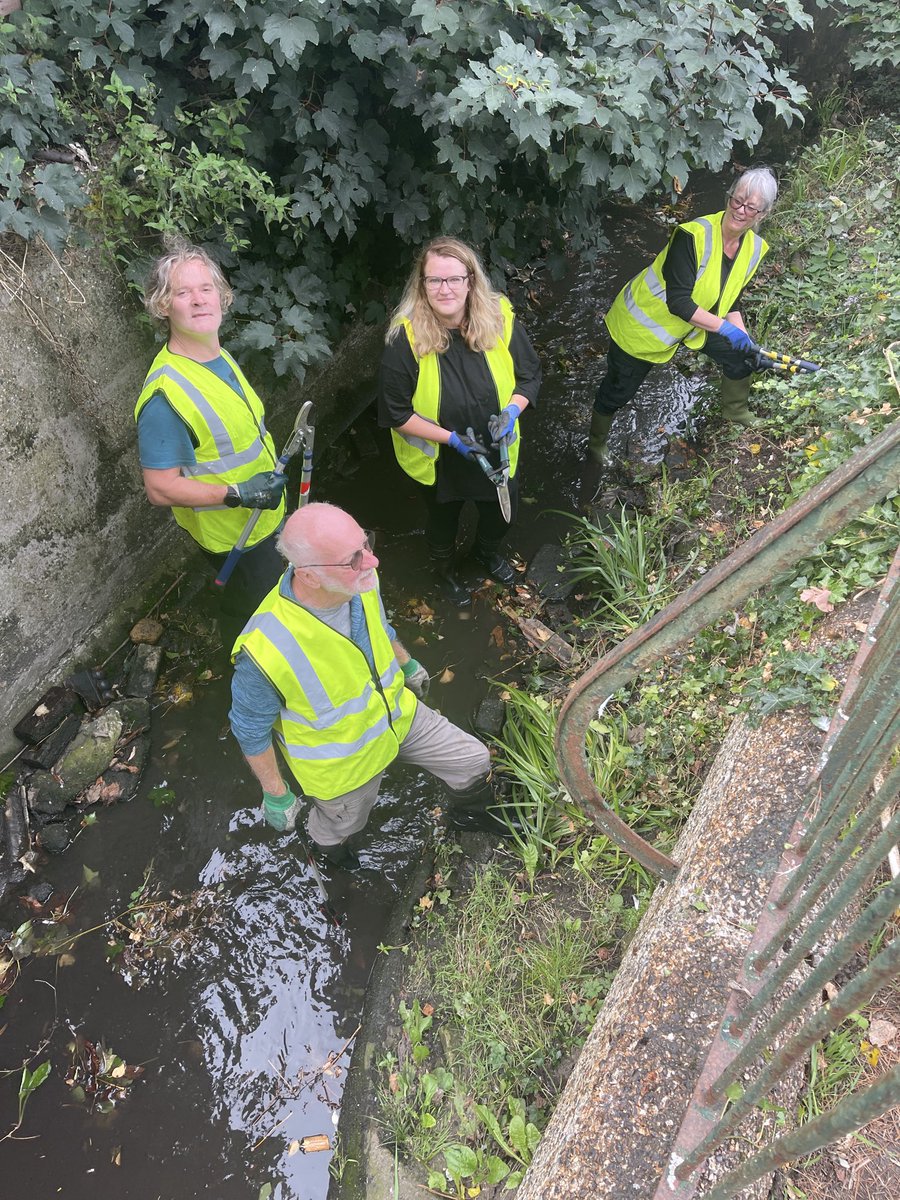 Norbury Brook Alliance tweet media