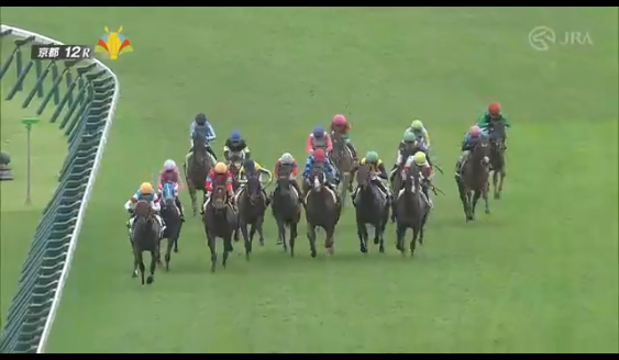 metyaria's tweet photo. 京都12Rの落馬事故だけどパトロールビデオ見ると白い帽子(1着入線)の馬が内側に斜行して体当たりしてる
騎手に対してのペナなしなの？
競争中の出来事見ると外側の馬に接触で転倒中止とある
確かに外の馬が内側に斜行して接触してるけど・・・

#京都12R
#落馬事故 
#川須栄彦 https://t.co/P8Xq3hS651