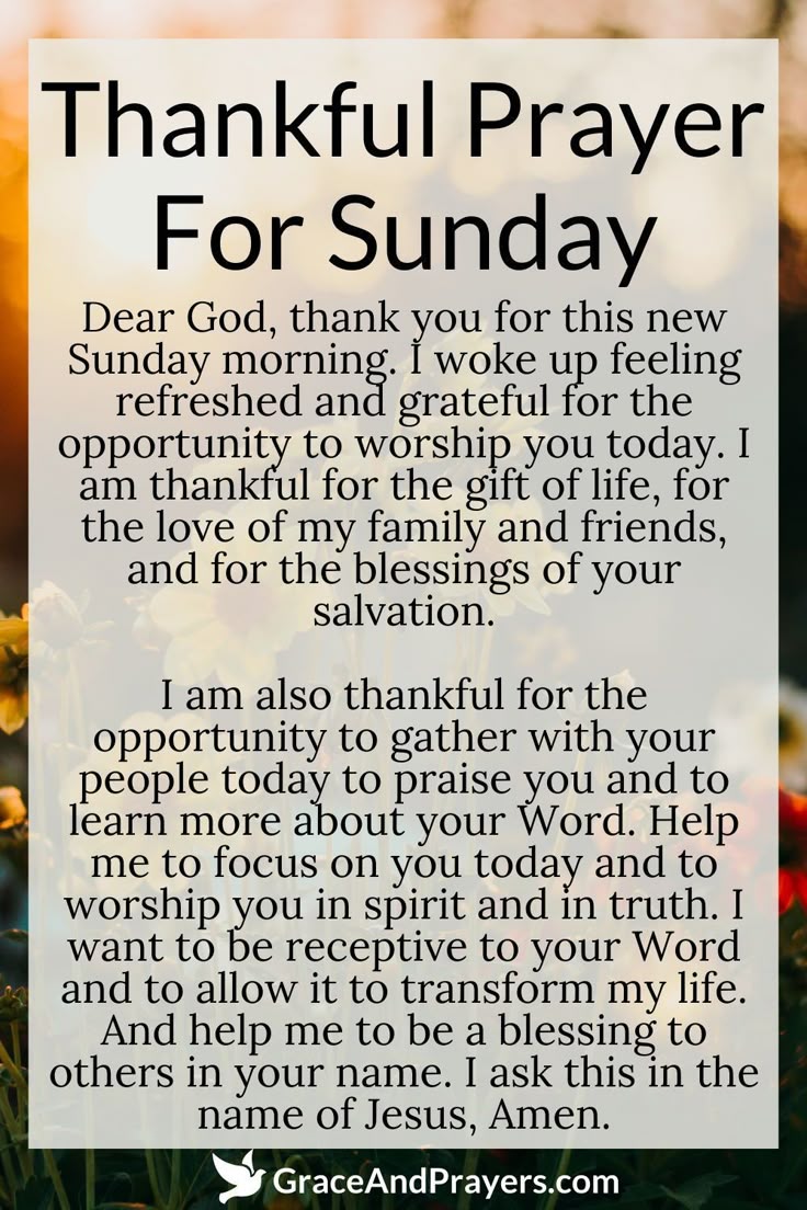 OLDGREYBEA20191's tweet image. Good morning Patriots it's Sunday no grinding today just relaxing and enjoying family and friends. Stay safe and love one another.
✝️✝️✝️🇺🇲🇺🇲🇺🇲
Psalm 4:8