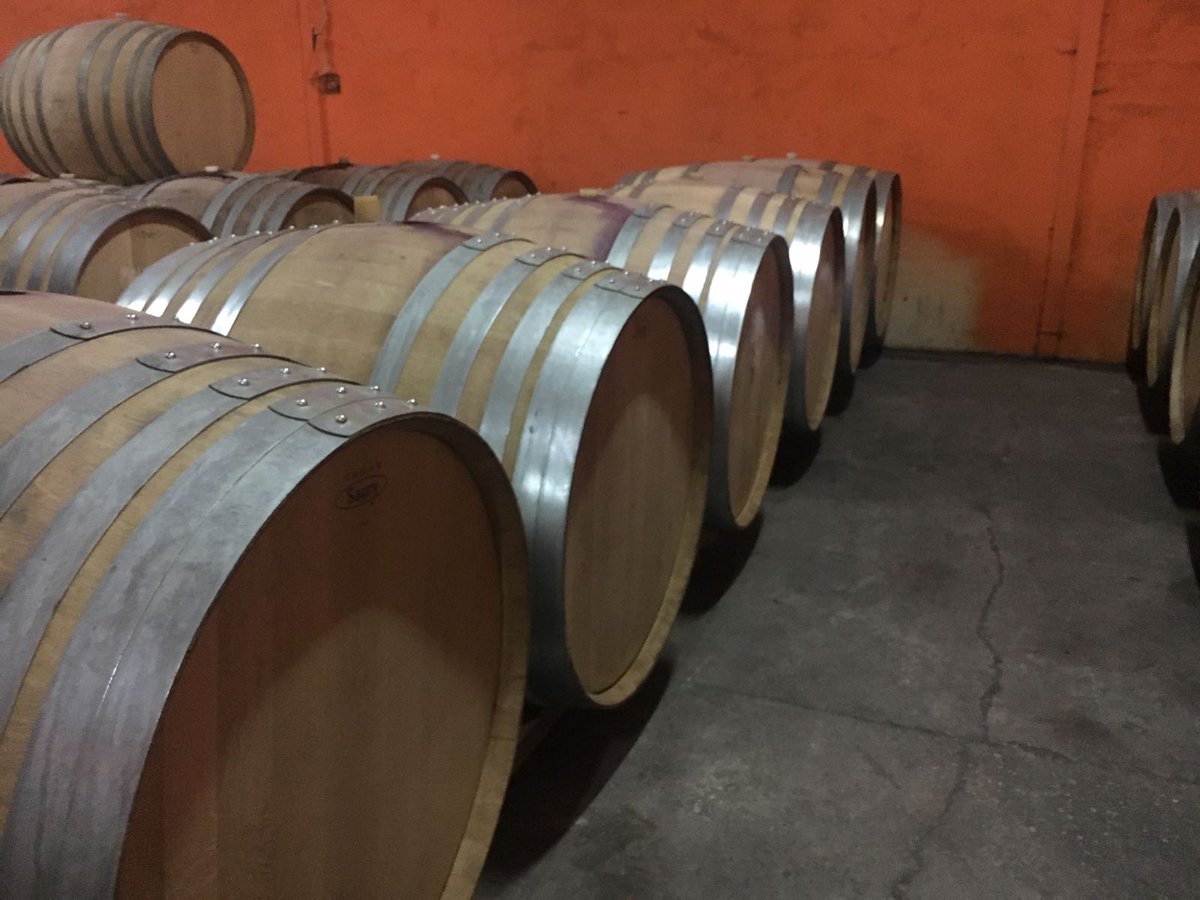 Bodegas Canopy tweet media