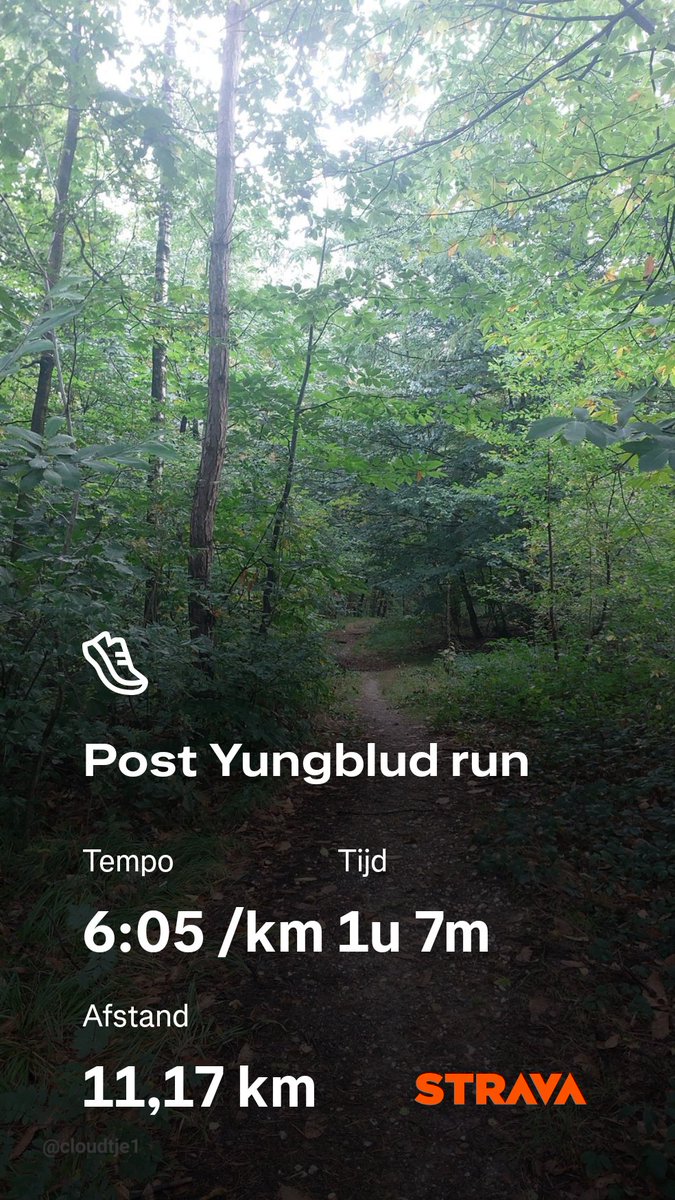 cloudtje1's tweet photo. Na een heerlijke concertavond samen met oudste, droog door t herfstbos over de trails #loopmaatjes. Zo naar Doorn voor een #tweepup met enkele loopvrinden! https://t.co/NeoYx57bEQ https://t.co/kSVUKZ38Rr