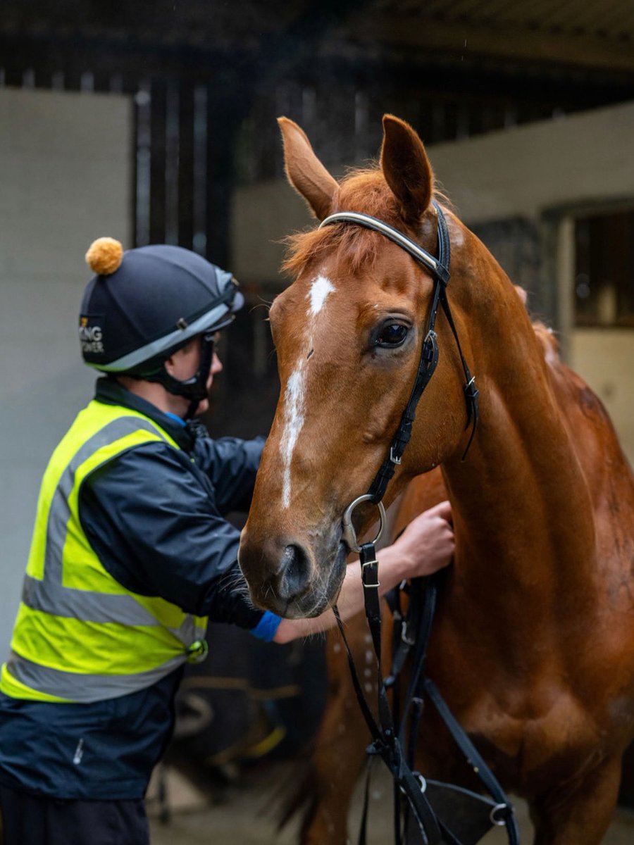 K&M Racing tweet media