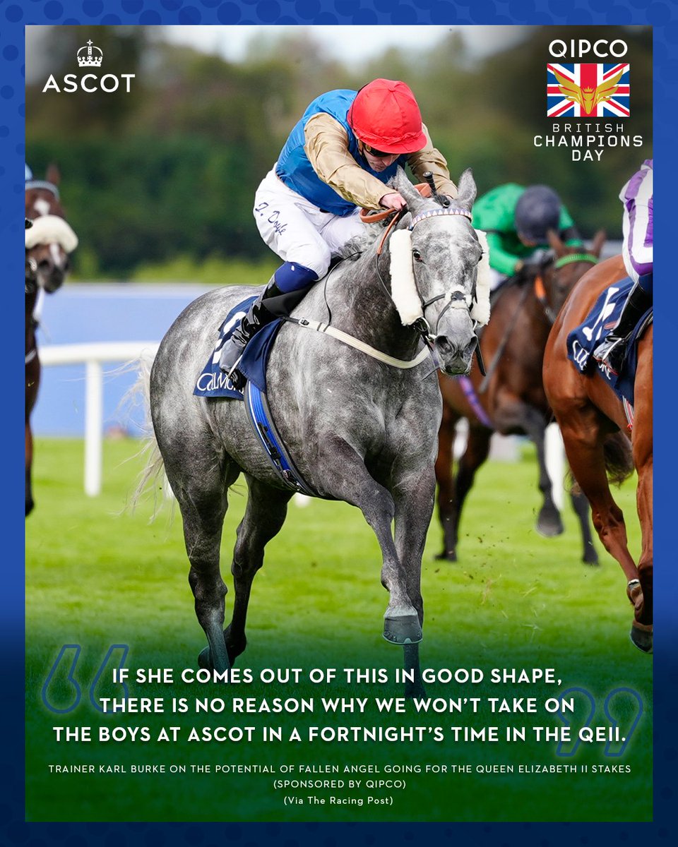 Ascot's tweet image. After a brilliant win in the Sun Chariot Stakes yesterday, Fallen Angel could now be set for a blockbuster clash with Field Of Gold in the Queen Elizabeth II Stakes (sponsored by QIPCO) on QIPCO British @Champions_Day.