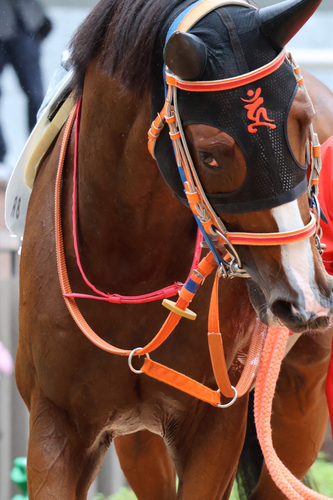 高昭牧場 (@Koushou_F) / X