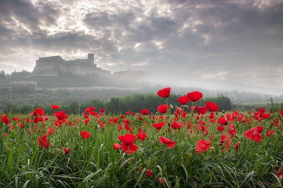 Dear God, Today I woke up. I am healthy. I am alive. Thank You, I apologize for all my complaining. I'm truly grateful for all You've done.