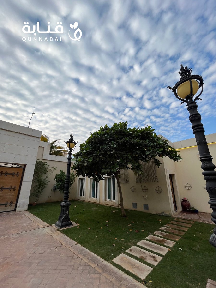 Qunnabah1's tweet image. - شجرة جميلة ومميزة 👌🏻😍
اللوز الحساوي Terminalia Catappa من الأشجار المتحملة تتميز باستقامتها وطبقاتها الرائعة وارفة الظل 🌳✨
تسمى بعدة أسماء منها البيذام واللوز الهندي، تنجح زراعتها في المملكة العربية السعودية 🇸🇦  الصور المرفقة من مشاريع قُنّابة في #الرياض 😍🌱

جربتوا…