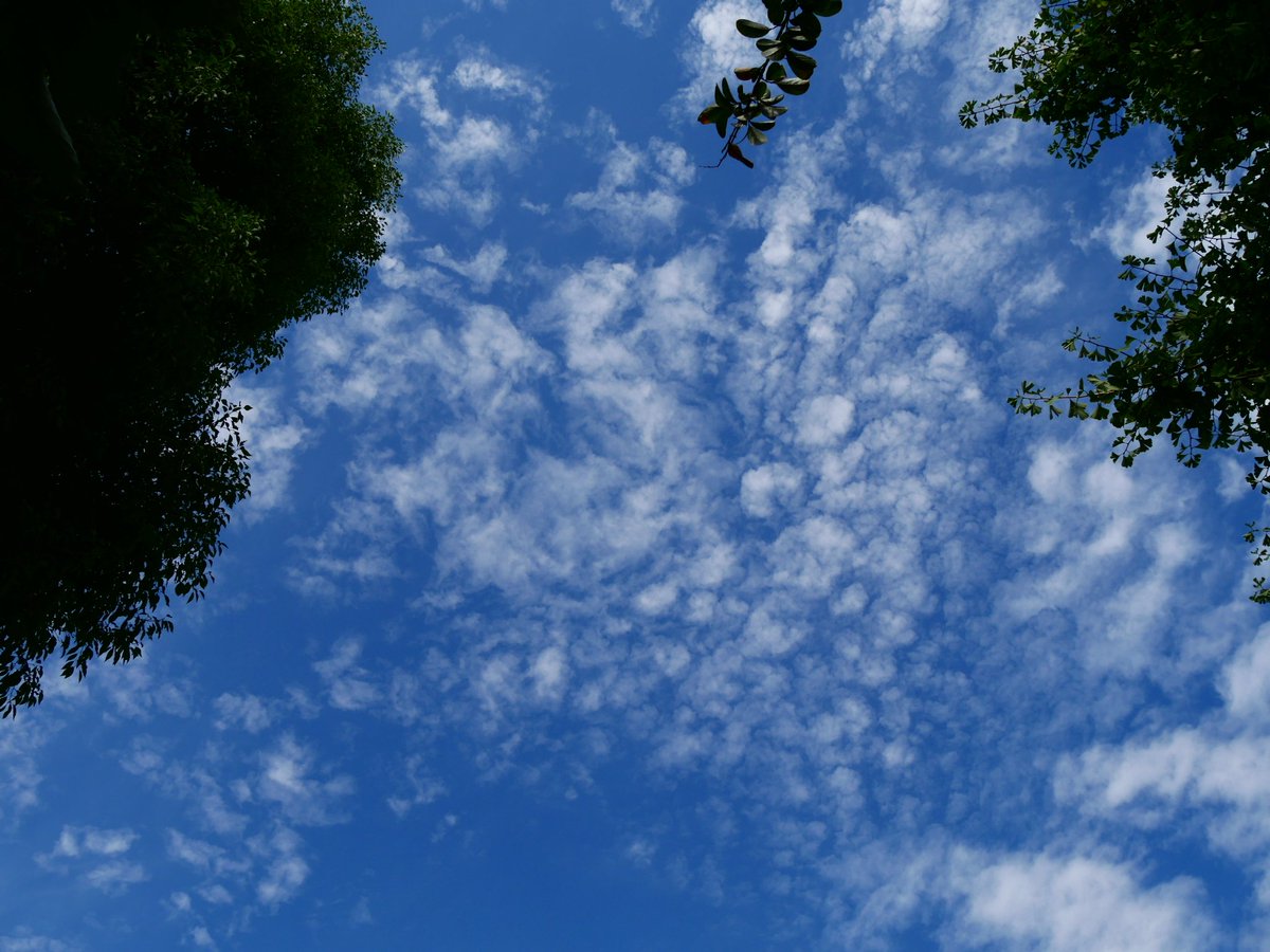 シューキチ on X