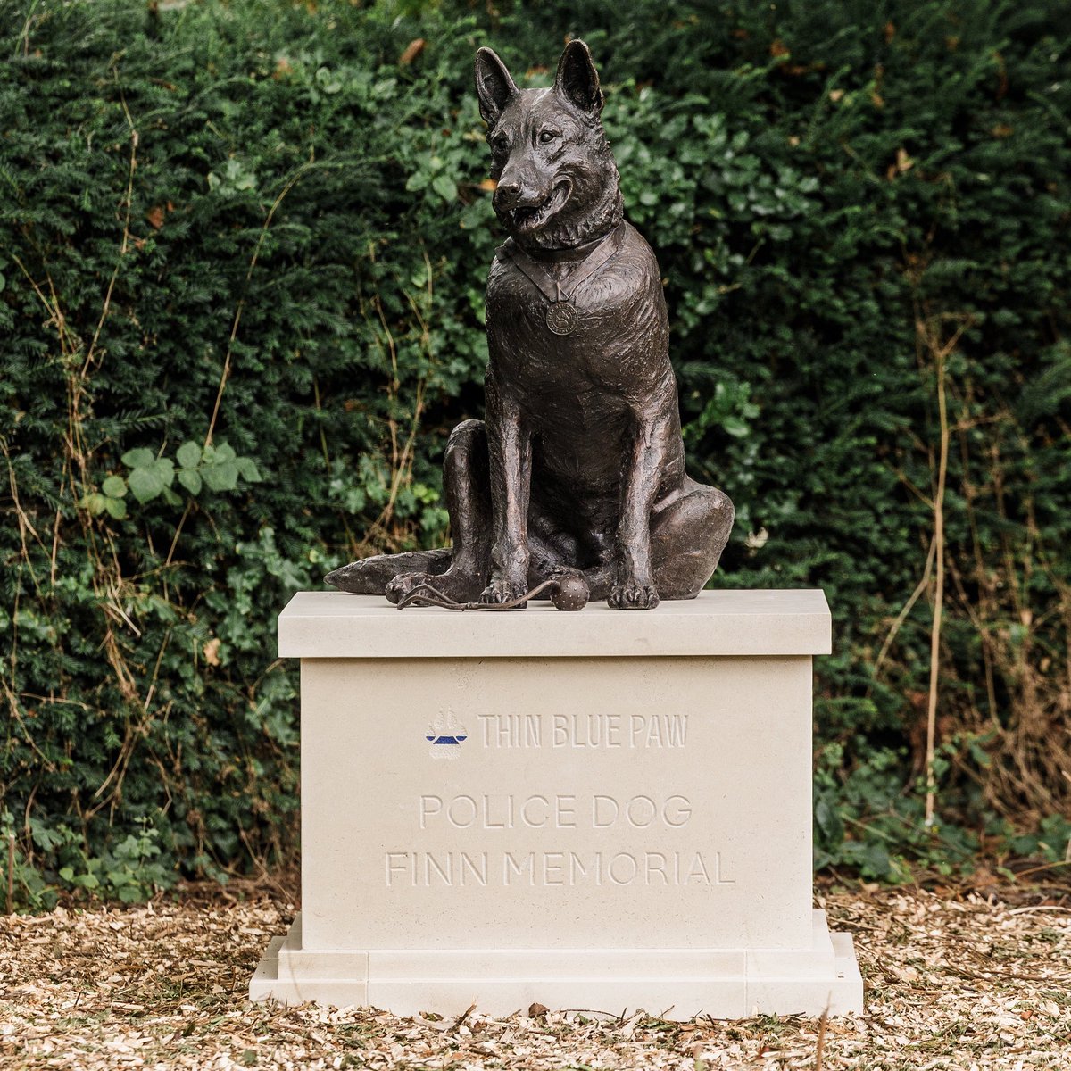 Today, we pay tribute to the bravery, courage, and heroism of Police Dog Finn, who was stabbed in the line of duty nine years ago. The incident sparked a national campaign for a change in the law, and Finn’s legacy in securing greater protection for police dogs across the United