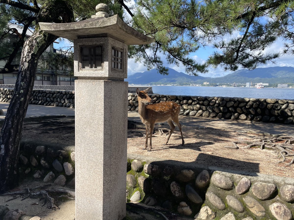 RayJeeeeey's tweet photo. 広島でした https://t.co/iGlKfeYKJ3