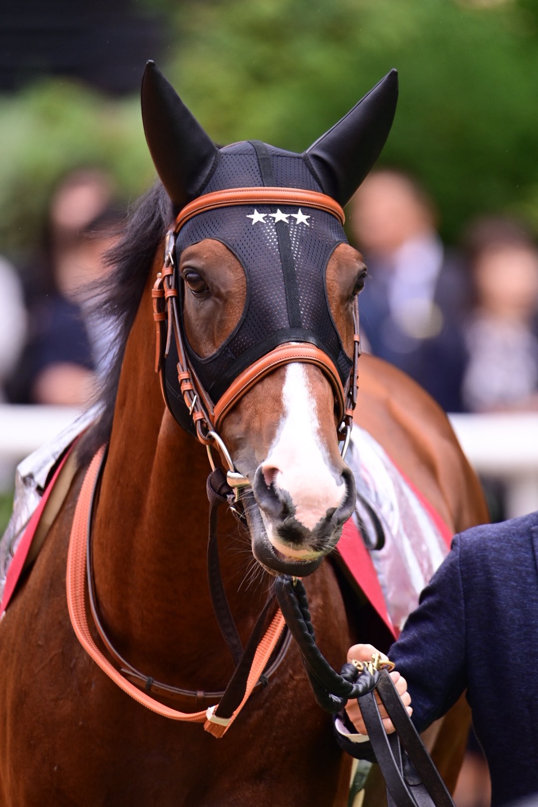 【現地】オルフェーヴル　日本ダービー【的中】 日本ダービー🏇 - Search / X