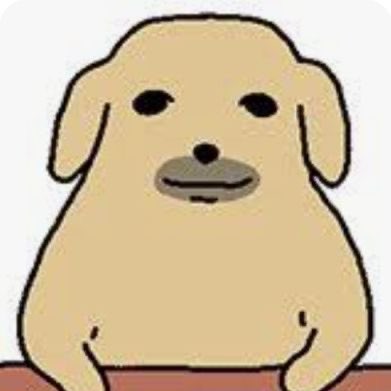 의정부삼짱 tweet media