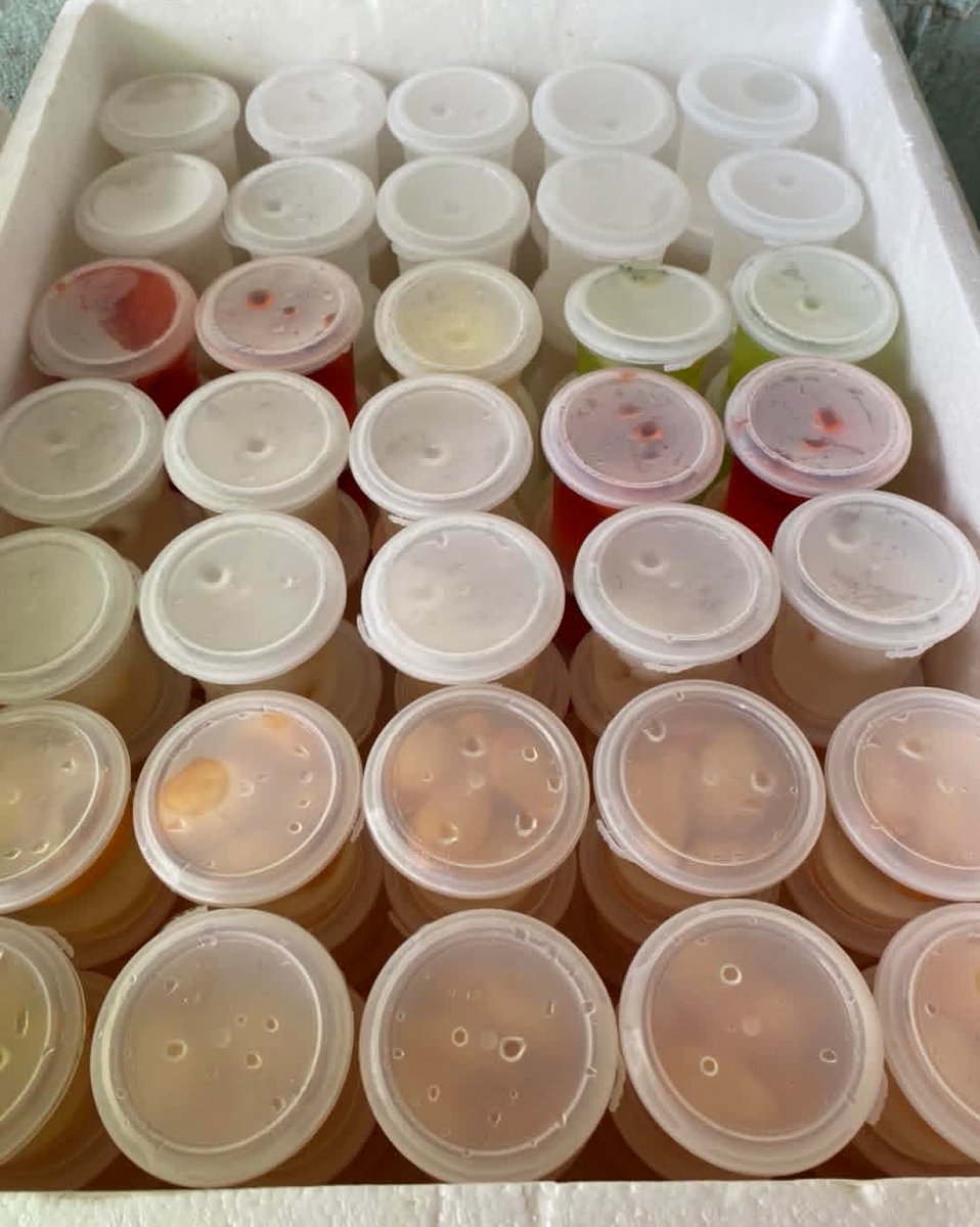 โปรเดือนตุลาคม
1ลังมี105แก้ว
1780บาทส่งฟรี