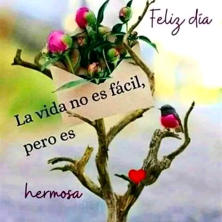 jucarguate's tweet photo. @Jlm0r https://t.co/hILjzbgCqi