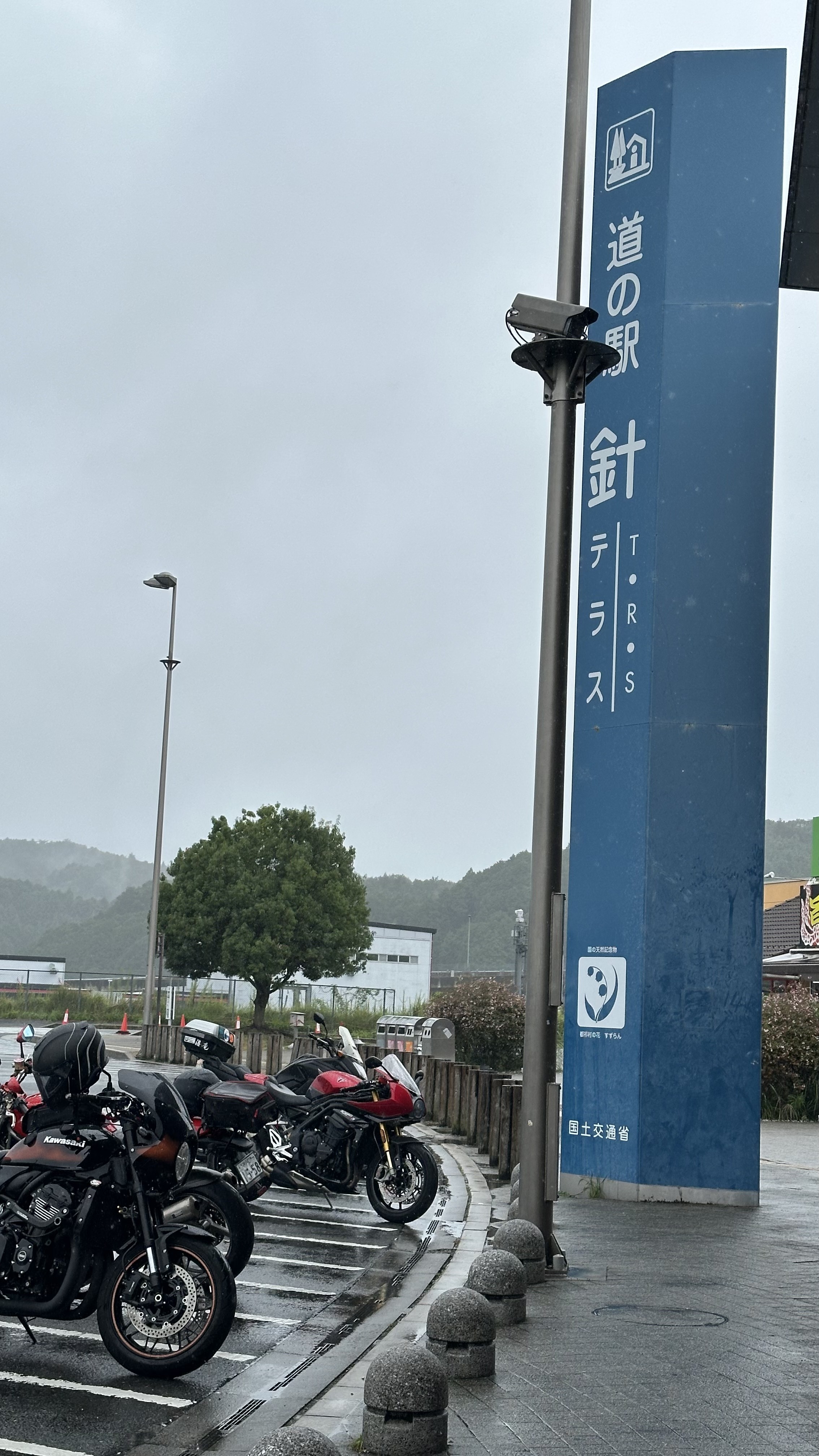 とらちゃんページ とらちゃん (@torachan675r1) / X