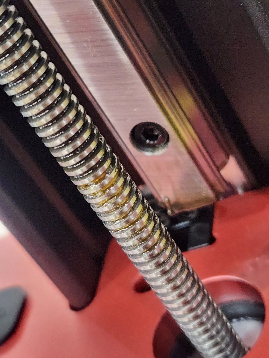 🐰♥兎美ショーコ tweet media