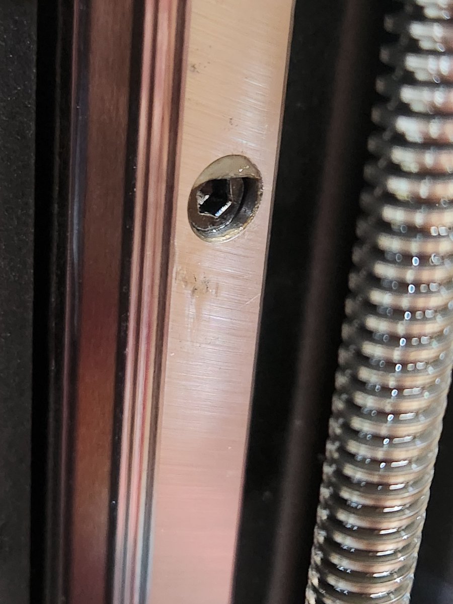 🐰♥兎美ショーコ tweet media