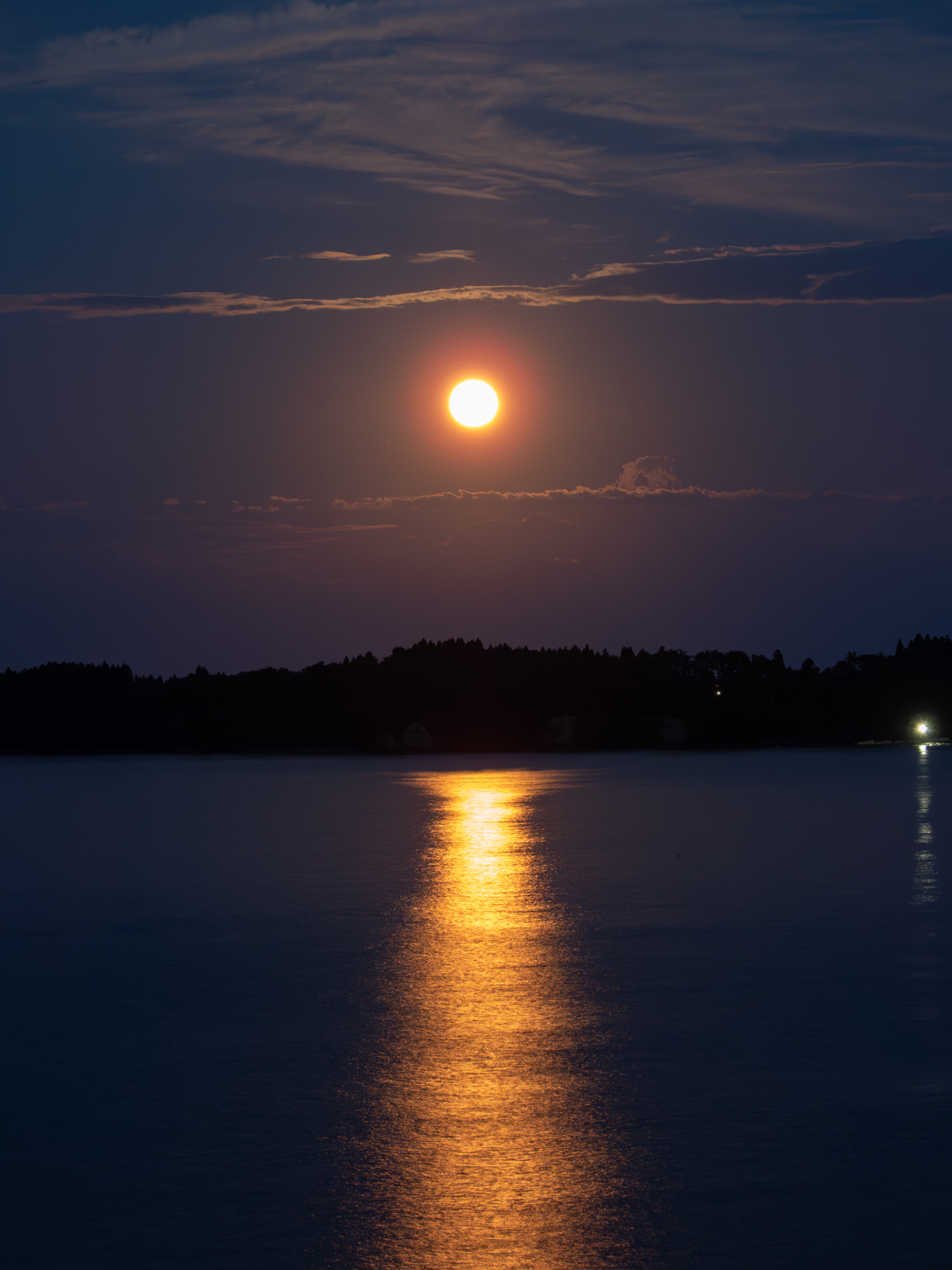 ⑤♡海外マステ♡ 雾中星文创 さん 秋金星（贝壳光） ⑤♡海外マステ♡ 雾中星文创 さん 秋金星（贝壳光）