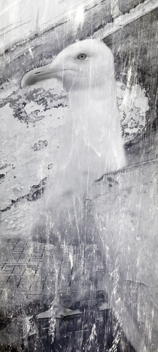 D L Z (@dlzfilms) on Twitter photo 