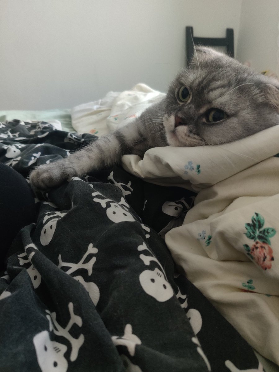 I really need to start some projects i have been putting off for years, like digging into china at the sandbox