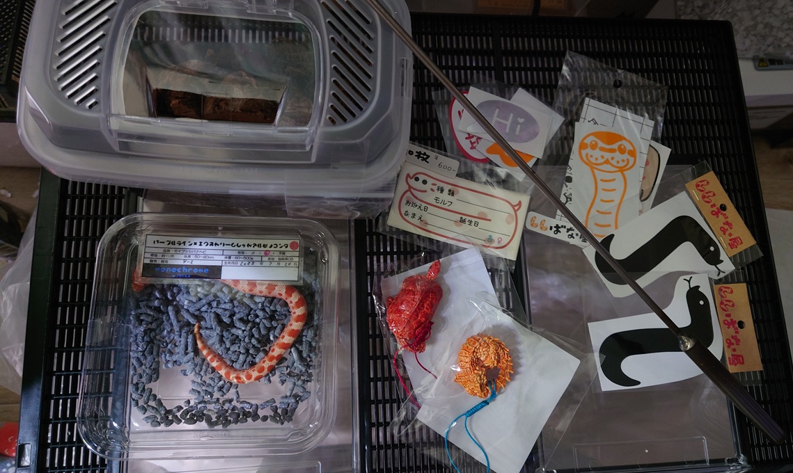 へびねこ tweet media