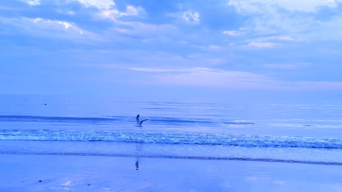 yako_singer's tweet photo. A few stills from “Umi”🌊 
Full video on YouTube 
👉 https://t.co/NunASB8RKF

#Japanesechildrenssong #TheSea #ukulelebackedCover https://t.co/LiDD9tqm7x