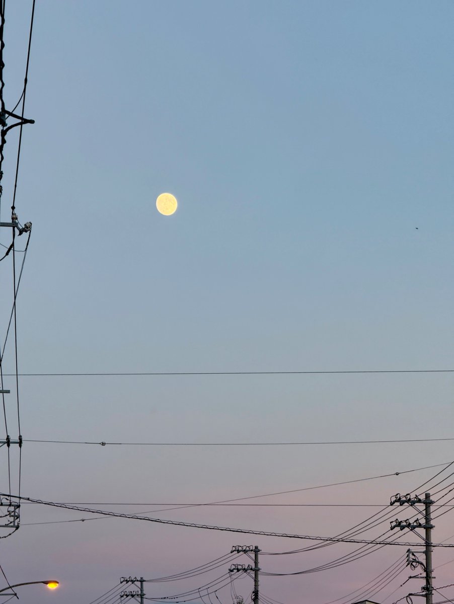inakagurashiweb's tweet image. 明日は #中秋の名月 ですね🌕

空を見上げると今日の月もキレイでした✨

#田舎暮らしの本
#田舎で見る月