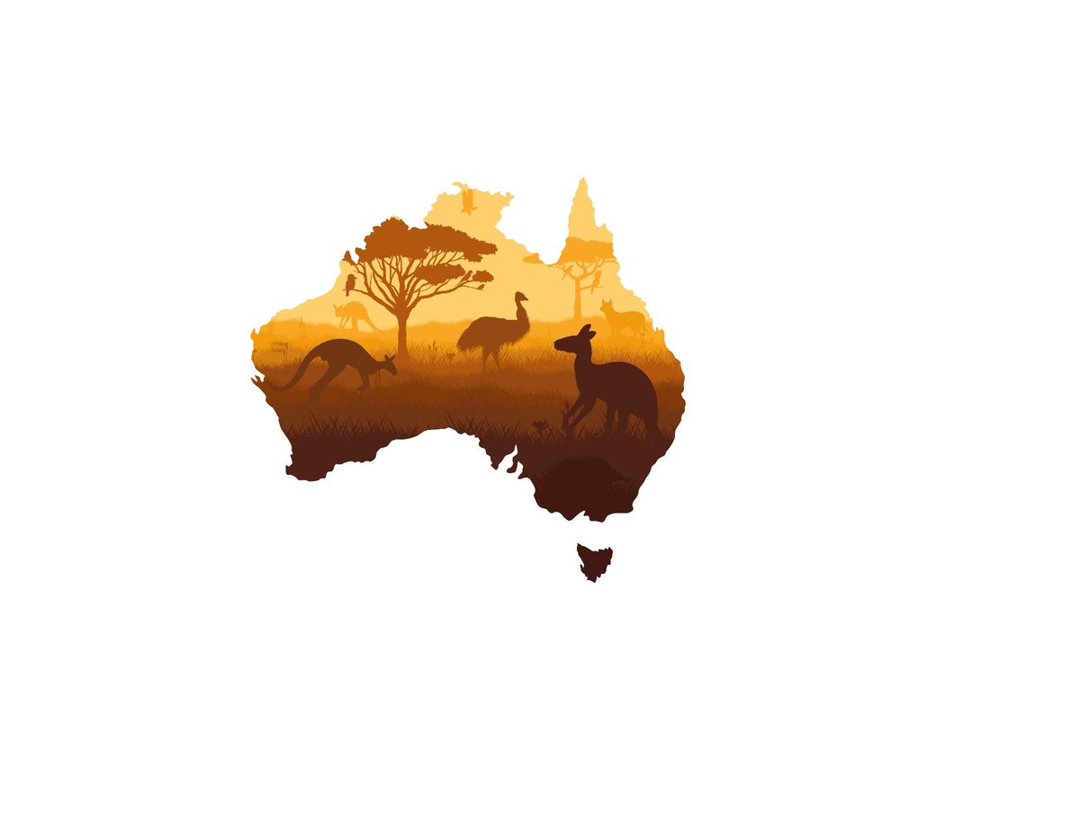 AIP_Immigration's tweet image. From kangaroos to deserts, golden horizons, and endless adventure... this is Australia✨
#Australia #ExploreAustralia #Wildlife #TravelDownUnder #NatureLovers #AdventureAustralia