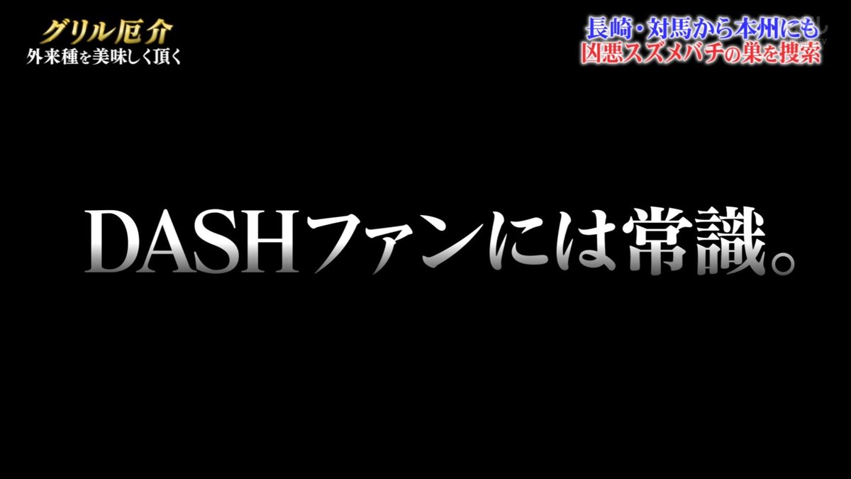 Chi_kuN88's tweet image. スズメバチなんてこの番組の常連だもんな
 #鉄腕DASH
