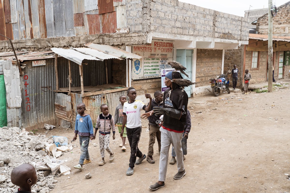 AJEnglish's tweet photo. 'Nairobi’s Birdman'

Rodgers Oloo Magutha, who rescues raptors on the streets of Kenya’s capital, has big dreams of one day opening a bird shelter https://t.co/UERPITLhxi https://t.co/MLiDVCiXC0